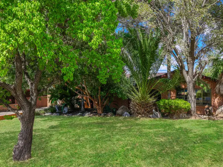 Second view of Homely house listing, 16 Windhover Crescent, Calala NSW 2340