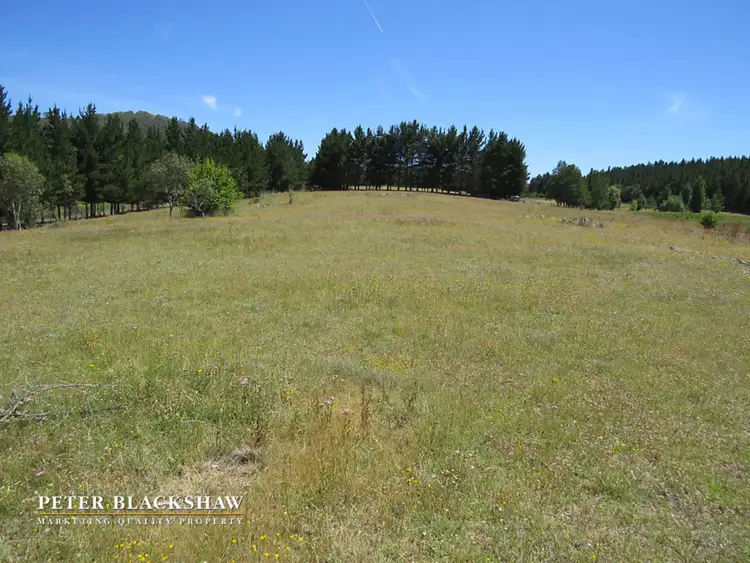 Third view of Homely rural property listing, Lot 8 Burra Road, Burra NSW 2620