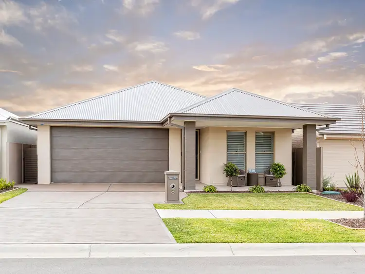 8 Hoban Road, North Rothbury NSW 2335
