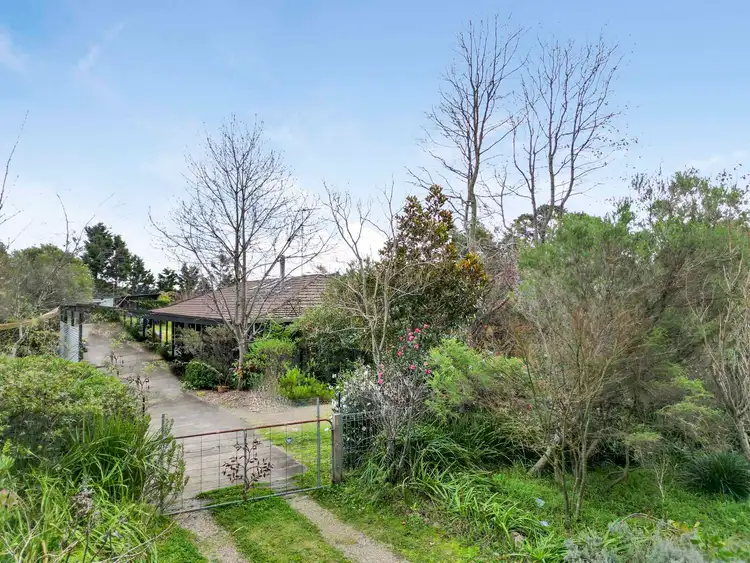 Main view of Homely house listing, 143 Tableland Road, Wentworth Falls NSW 2782