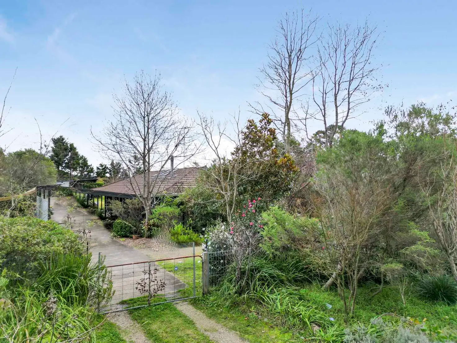 Main view of Homely house listing, 143 Tableland Road, Wentworth Falls NSW 2782