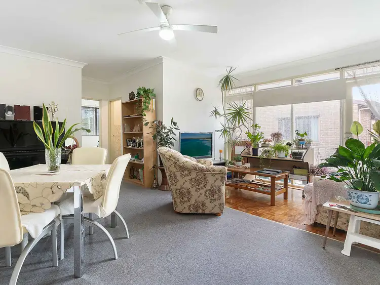 415 Liverpool Road, Strathfield NSW 2135