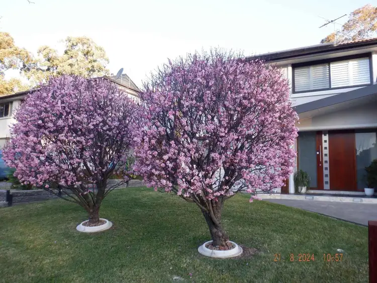 Fifth view of Homely house listing, 9 Hawke Pl, Kings Langley NSW 2147