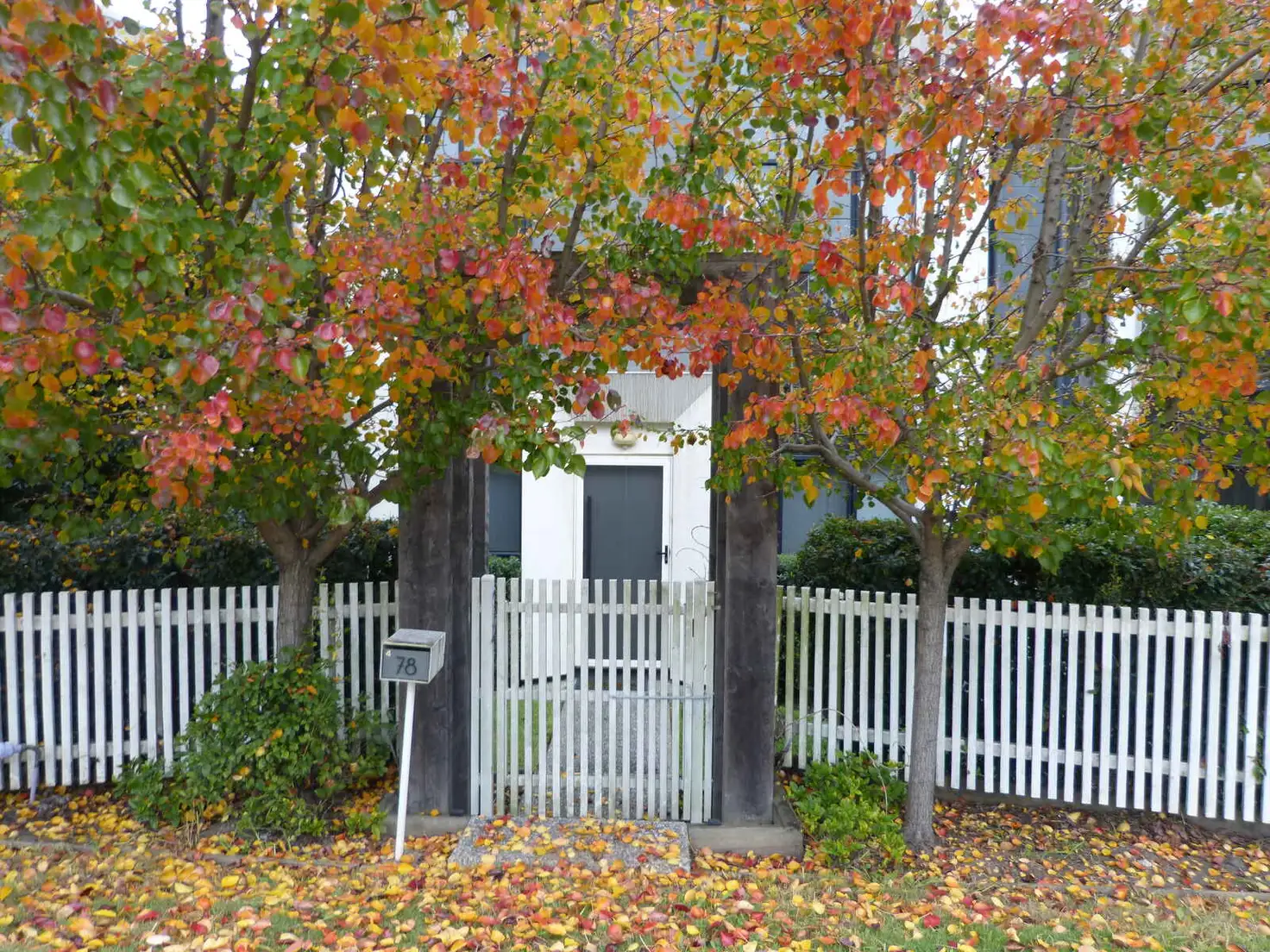 Main view of Homely house listing, 78 Hezlett Road, North Kellyville NSW 2155