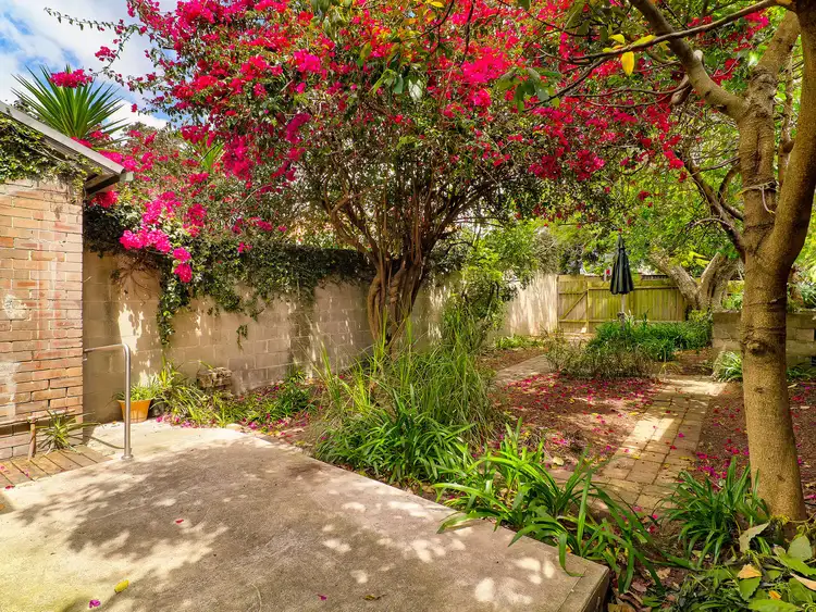 Sixth view of Homely semi-detached listing, 132 Alexander Street, Crows Nest NSW 2065