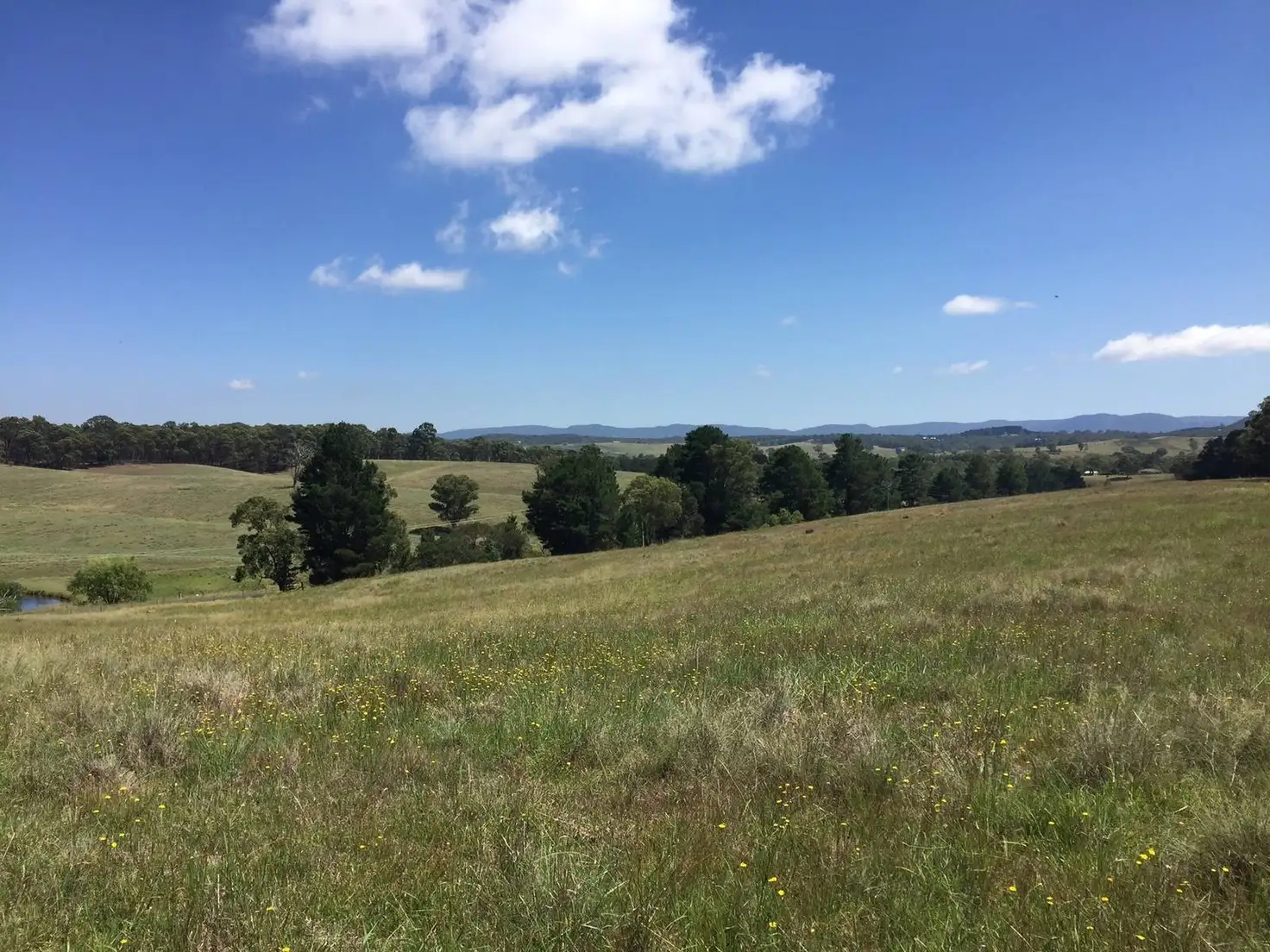 Main view of Homely land listing, 0 Crn Cox's River Rd & Blaxland Rd, Little Hartley NSW 2790