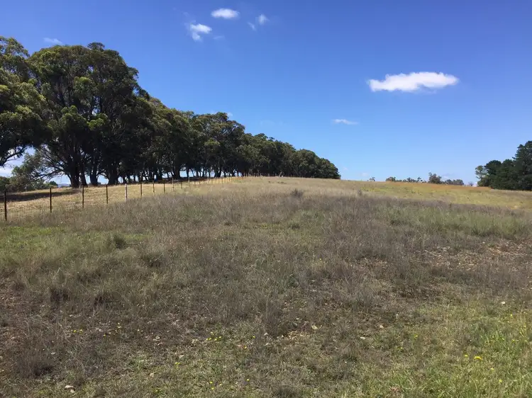 Second view of Homely land listing, 0 Crn Cox's River Rd & Blaxland Rd, Little Hartley NSW 2790