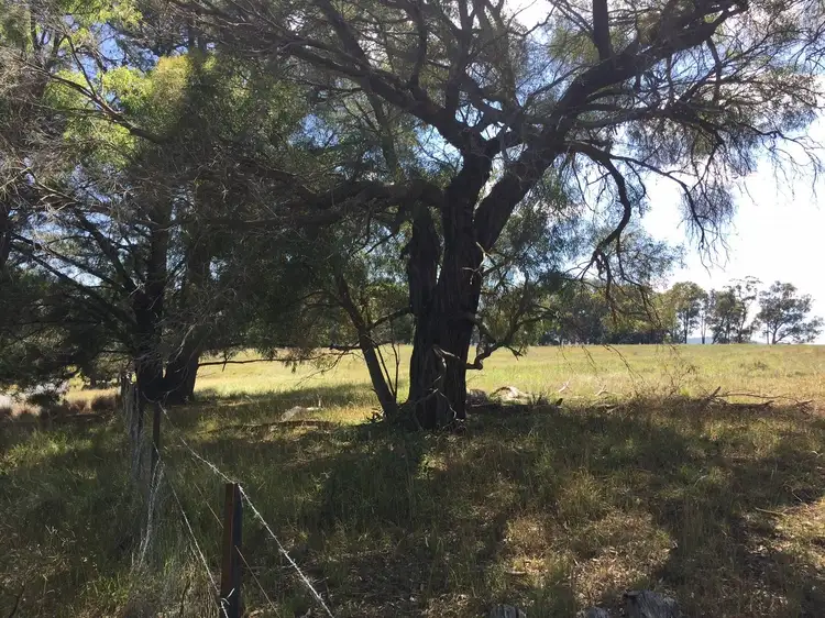 Sixth view of Homely land listing, 0 Crn Cox's River Rd & Blaxland Rd, Little Hartley NSW 2790