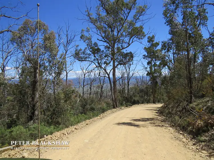 Fifth view of Homely rural property listing, Lot 97 Tinderry Road, Michelago NSW 2620