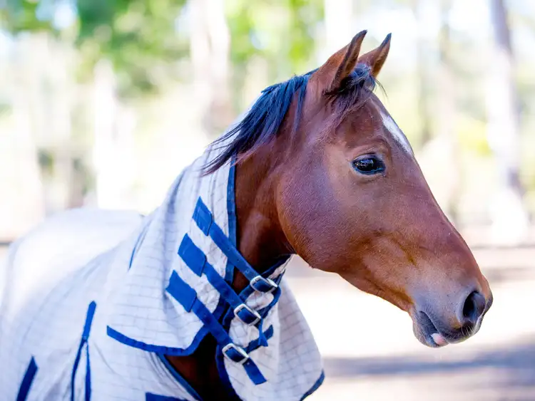 Third view of Homely house listing, 66 Muscio Road, Sancrox NSW 2446