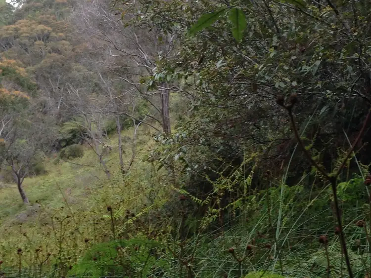 Fourth view of Homely land listing, 37-39 Henderson Road, Wentworth Falls NSW 2782