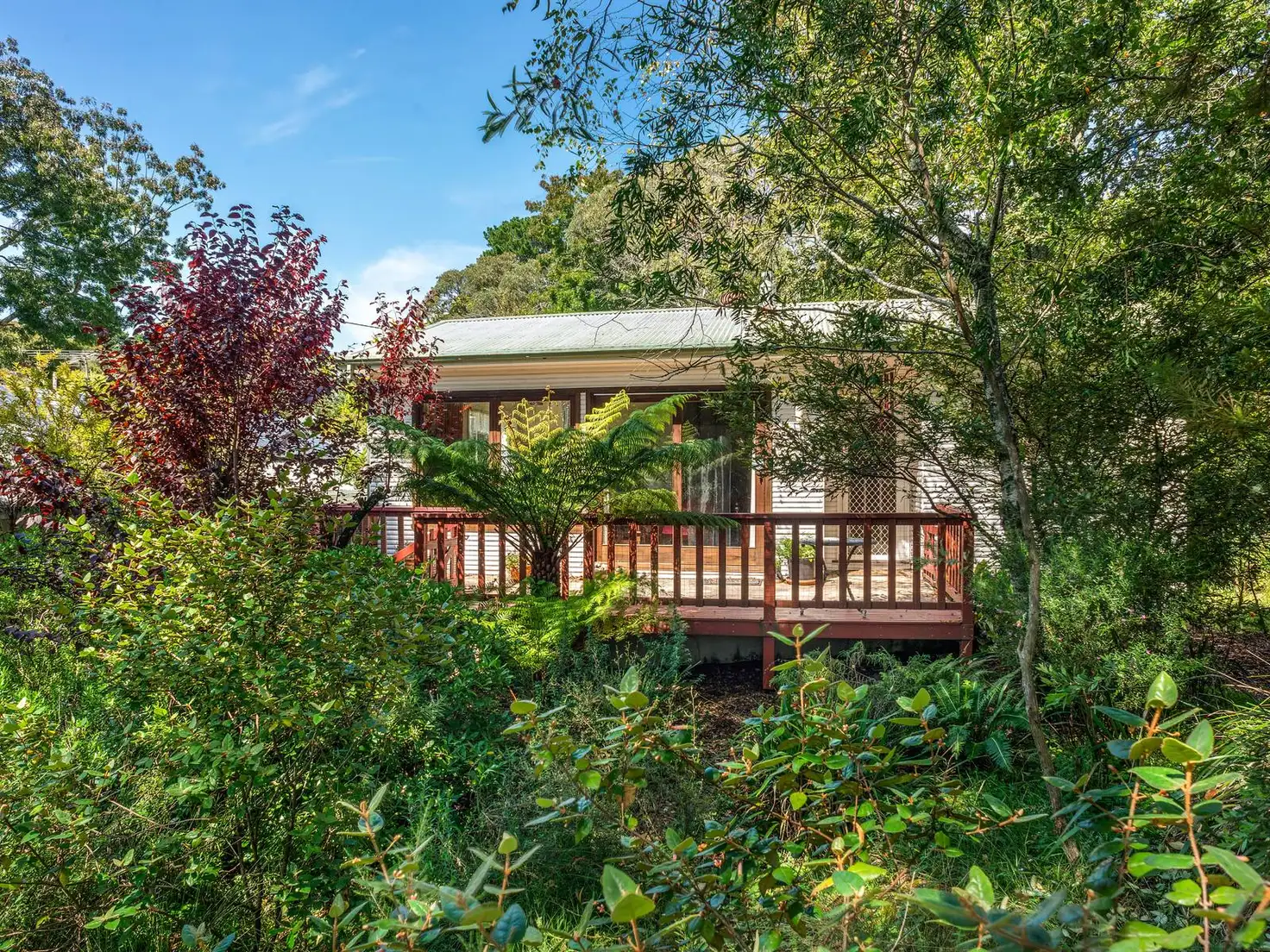 Main view of Homely house listing, 27 Toulon Avenue, Wentworth Falls NSW 2782