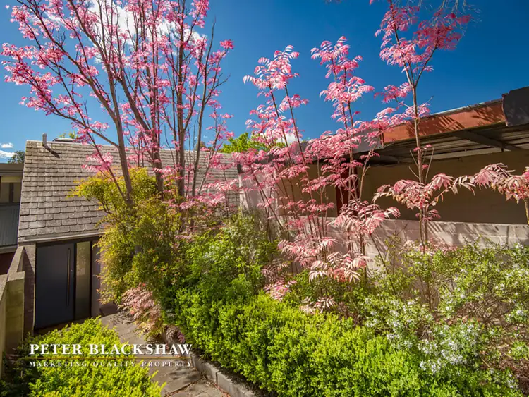 63 Maclachlan Street, Holder ACT 2611