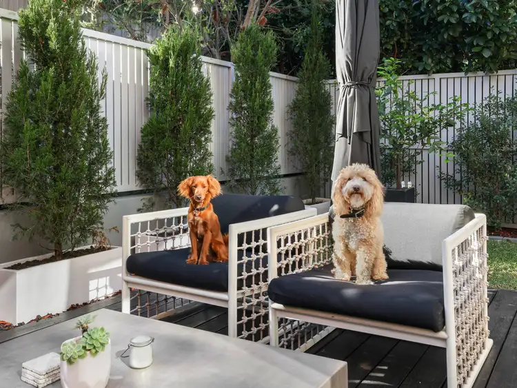 Fifth view of Homely apartment listing, 7/4-6 Shackel Avenue, Brookvale NSW 2100