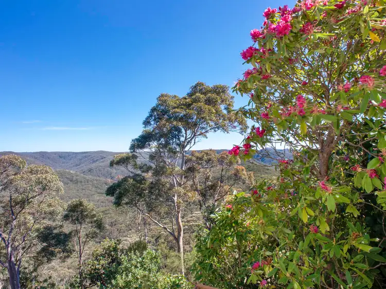 42 Edward Parade, Wentworth Falls NSW 2782