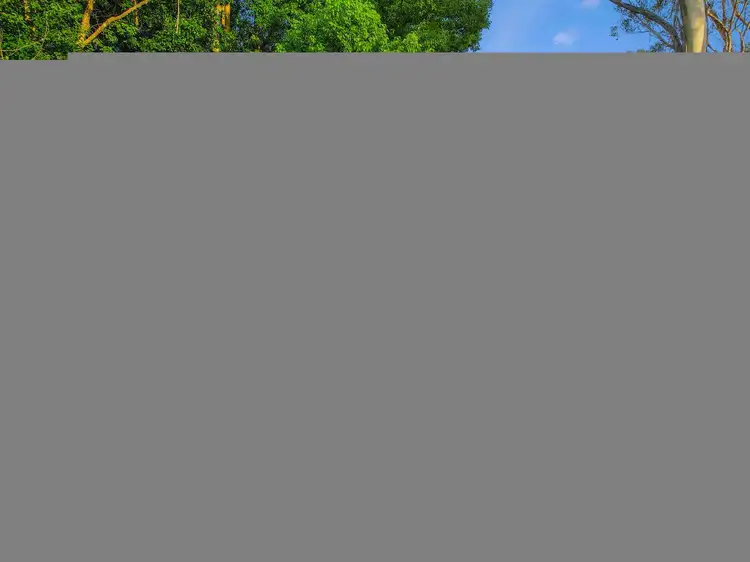 Sixth view of Homely house listing, 298 Mortons Creek Road, Mortons Creek NSW 2446