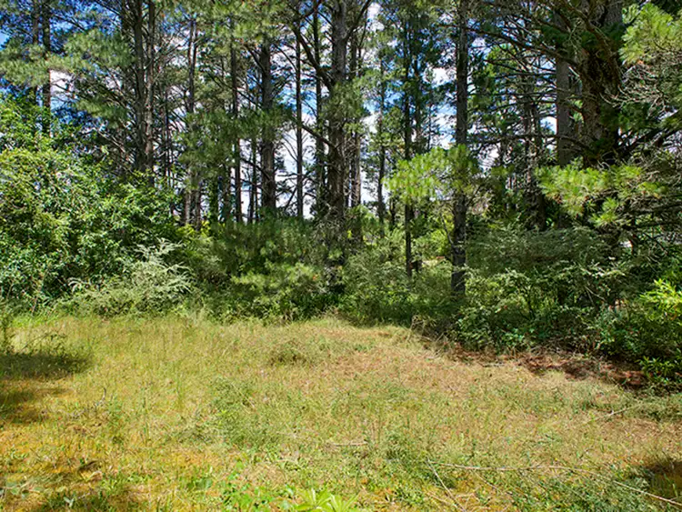 Third view of Homely house listing, 24 Nelson Avenue, Wentworth Falls NSW 2782