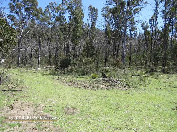 Seventh view of Homely rural property listing, Lot 97 Tinderry Road, Michelago NSW 2620