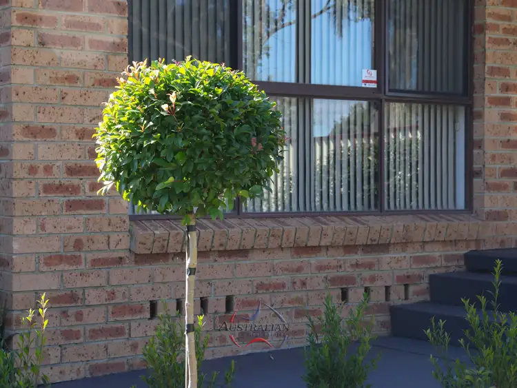Second view of Homely house listing, 4 Peony Place, Quakers Hill NSW 2763