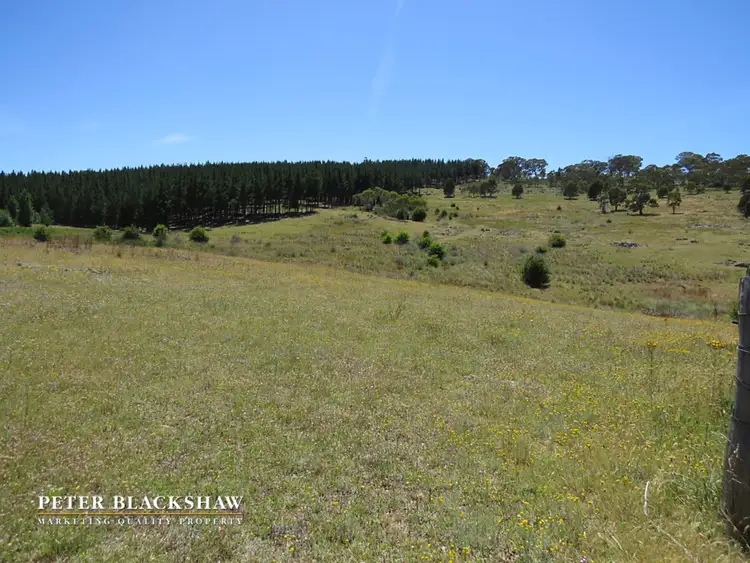 Seventh view of Homely rural property listing, Lot 8 Burra Road, Burra NSW 2620