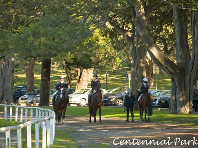 Sixth view of Homely apartment listing, 5A/2 Cook Road, Centennial Park NSW 2021