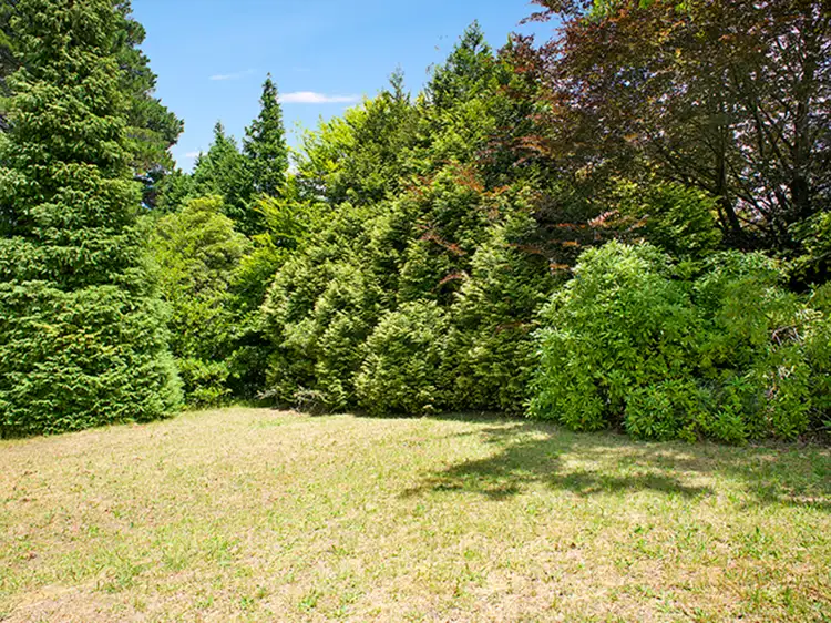 Fourth view of Homely house listing, 24 Nelson Avenue, Wentworth Falls NSW 2782