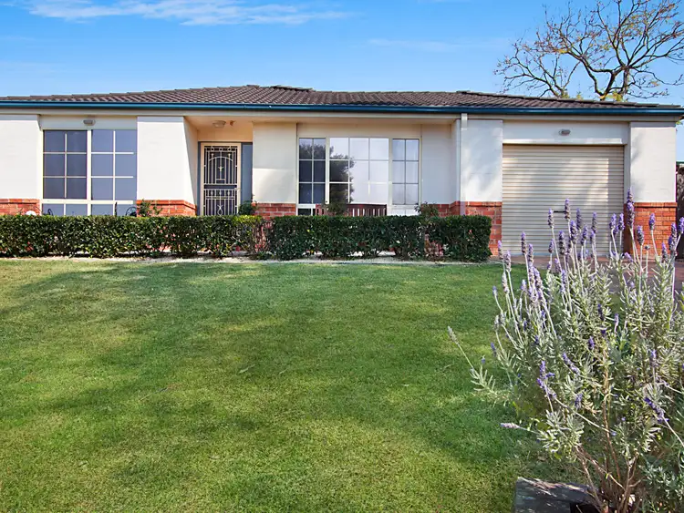 Main view of Homely house listing, 113 Phoenix Avenue, Stanhope Gardens NSW 2768