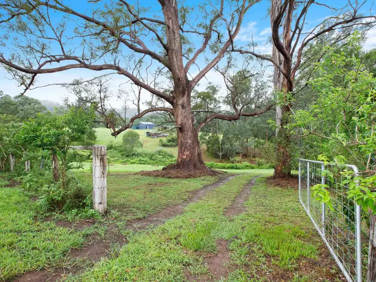 Third view of Homely rural property listing, Lot 113 Calara Lane, Pappinbarra NSW 2446