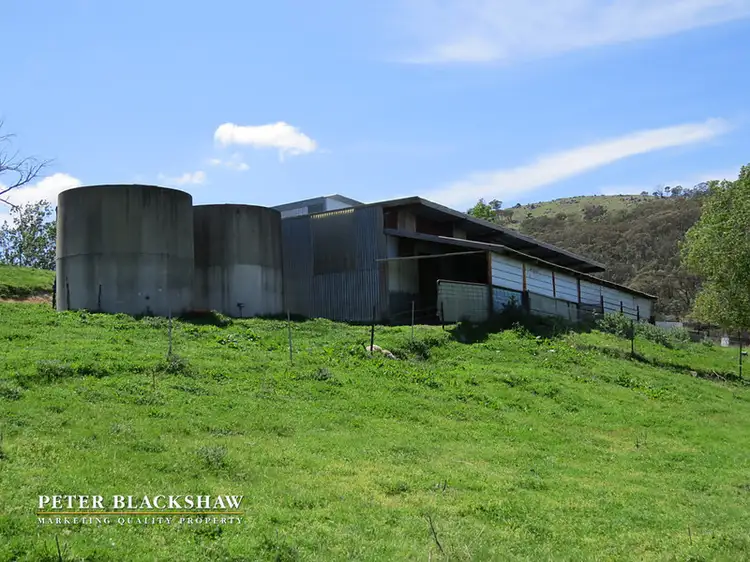 Sixth view of Homely rural property listing, 146 Moore Road, Burra NSW 2620