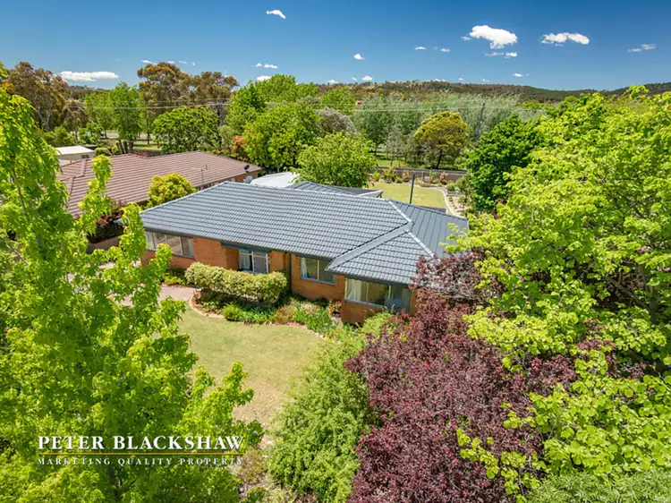 Main view of Homely house listing, 43 Batchelor Street, Torrens ACT 2607