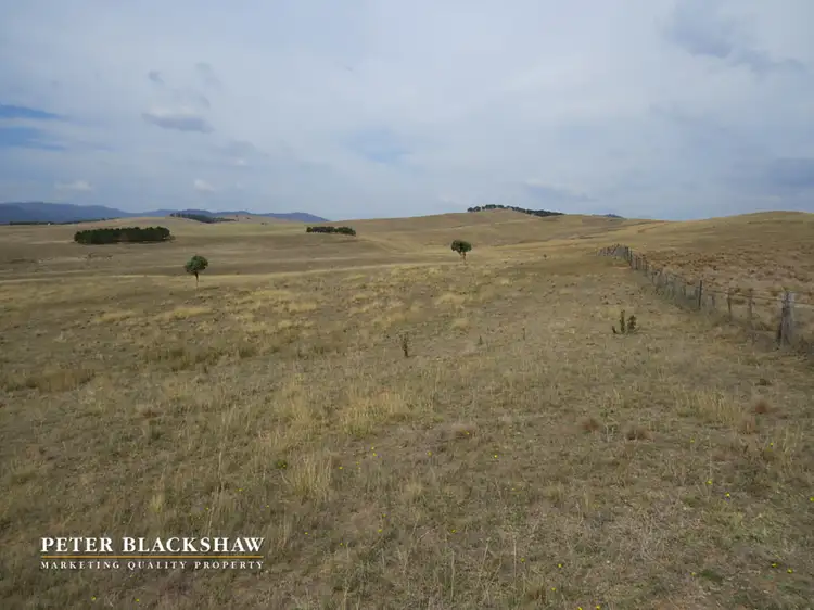 Sixth view of Homely rural property listing, 408 Micalago Road, Michelago NSW 2620