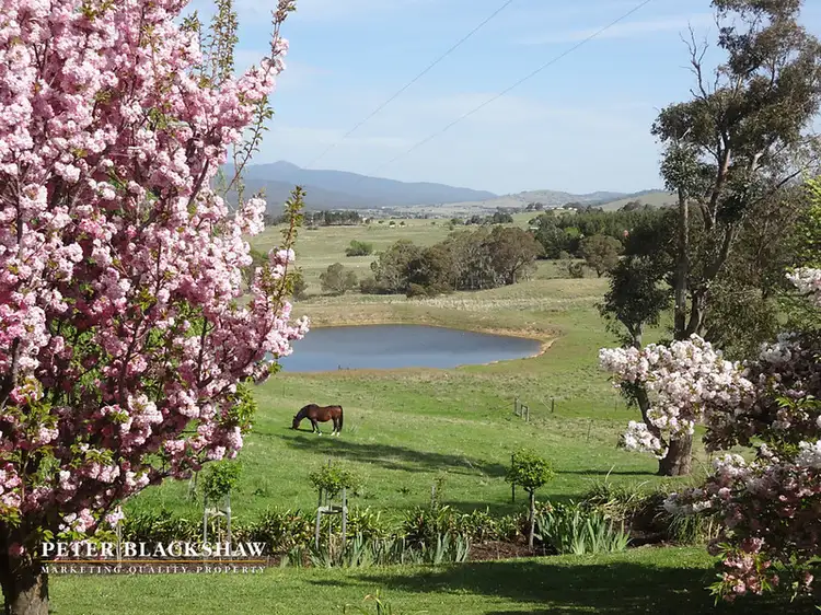Second view of Homely rural property listing, 146 Moore Road, Burra NSW 2620