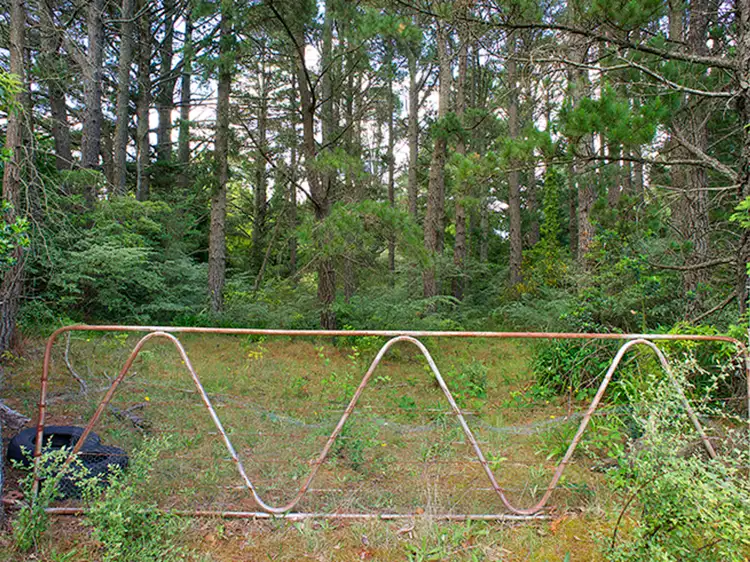 Fifth view of Homely house listing, 24 Nelson Avenue, Wentworth Falls NSW 2782