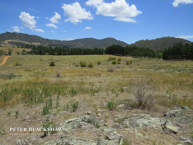 Fifth view of Homely rural property listing, Lot 8 Burra Road, Burra NSW 2620