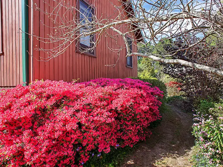 Fourth view of Homely house listing, 3 Bellevue Road, Wentworth Falls NSW 2782
