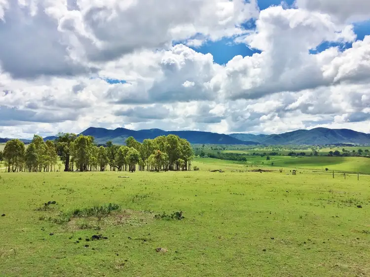 Main view of Homely rural property listing, 458C Elderslie Road, Branxton NSW 2335