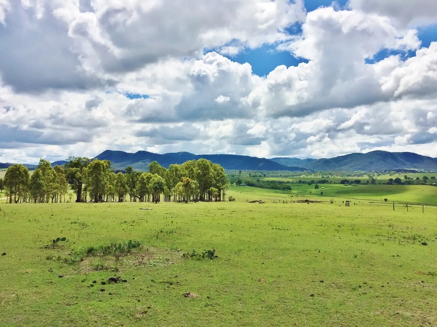 Main view of Homely rural property listing, 458C Elderslie Road, Branxton NSW 2335