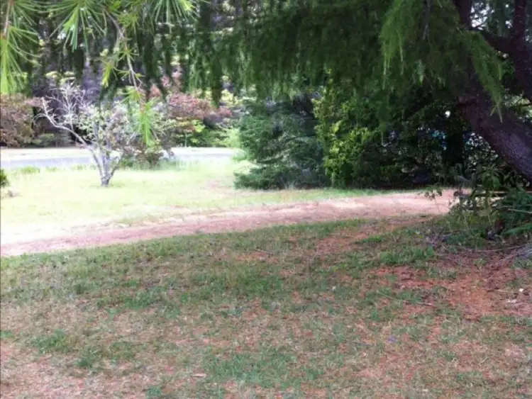 Third view of Homely house listing, 24 Yanko Avenue, Wentworth Falls NSW 2782