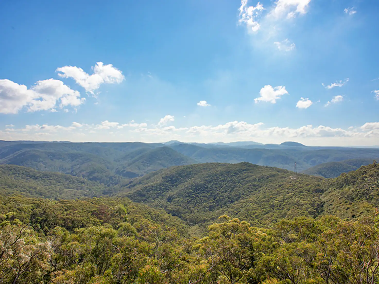 Main view of Homely house listing, 5 View Road, Wentworth Falls NSW 2782
