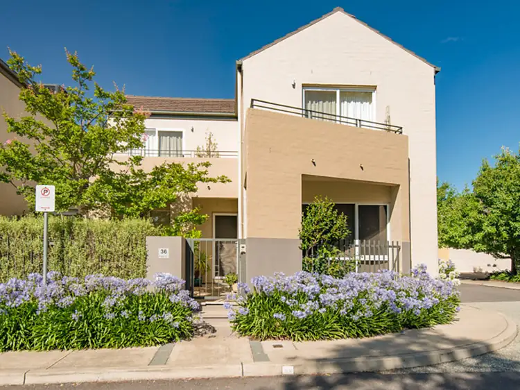 Main view of Homely house listing, 36 Bluebell Street, O'connor ACT 2602