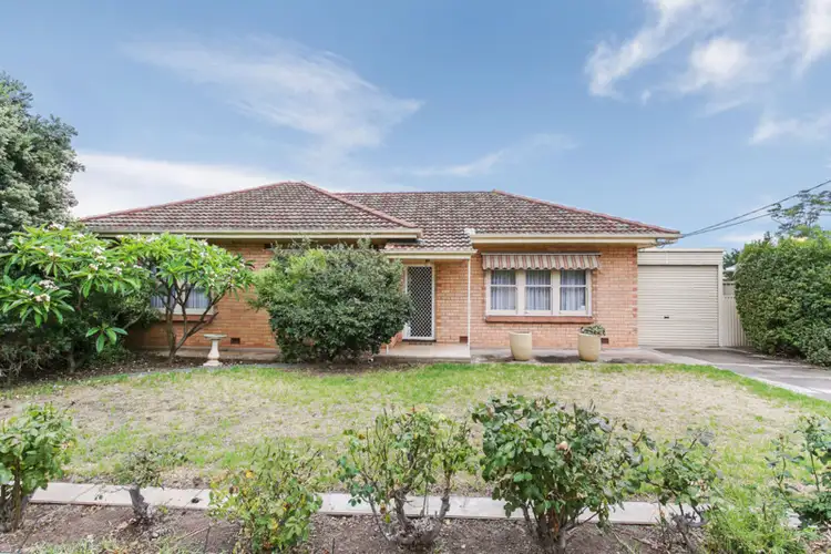 12 Douglas Street, Marion SA 5043