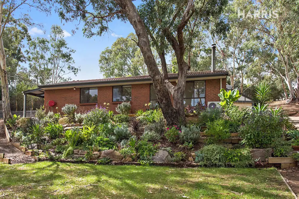 Main view of Homely house listing, 25 Hurds Hill Drive, Coromandel Valley SA 5051