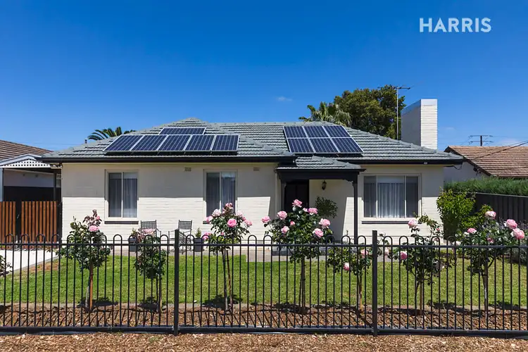 22 Nelson Street, South Plympton SA 5038