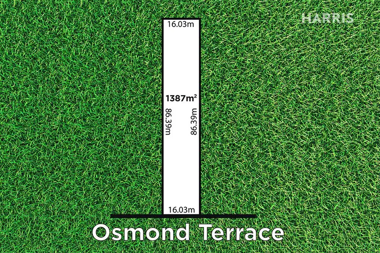 9 Osmond Terrace, Fullarton SA 5063