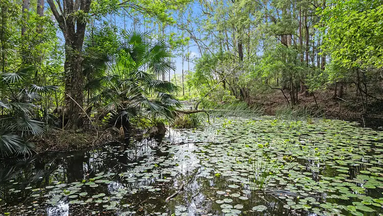 Seventh view of Homely land listing, 20 Clayholes Road, Way Way NSW 2447