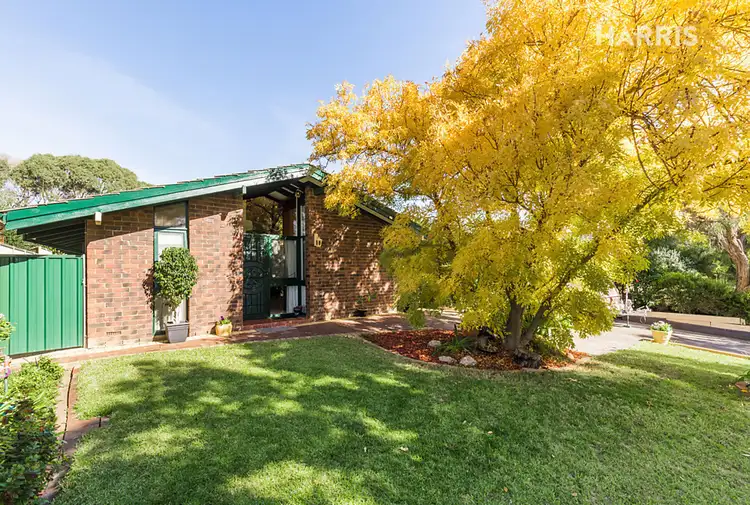 Main view of Homely house listing, 3 Geary Place, Athelstone SA 5076