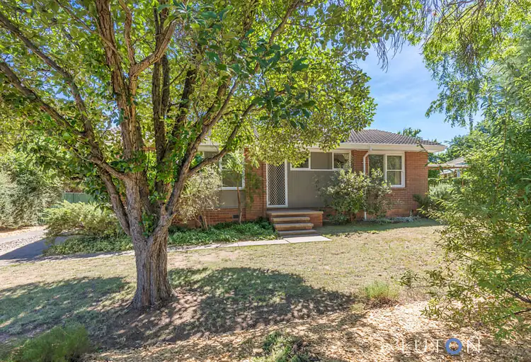 Main view of Homely house listing, 49 Simpson Street, Watson ACT 2602