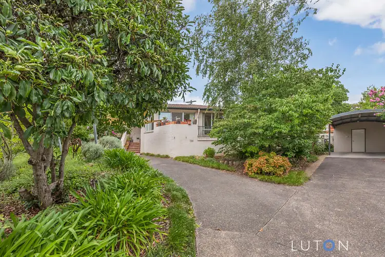 Second view of Homely house listing, 43 Hicks Street, Red Hill ACT 2603