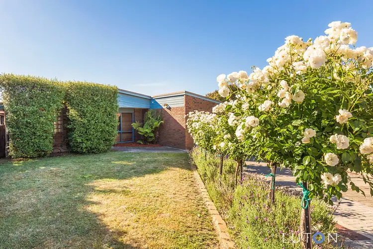 Second view of Homely house listing, 53 Mountain  Circuit, Calwell ACT 2905