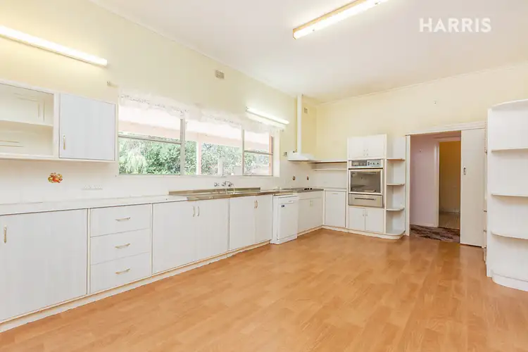 Second view of Homely house listing, 13 Coreega Avenue, Springfield SA 5062